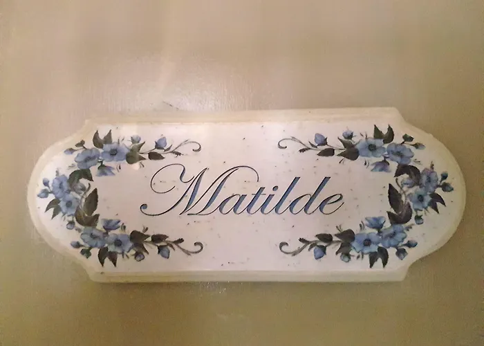 古旭乐住宿加早餐旅馆 住宿加早餐酒店 4*